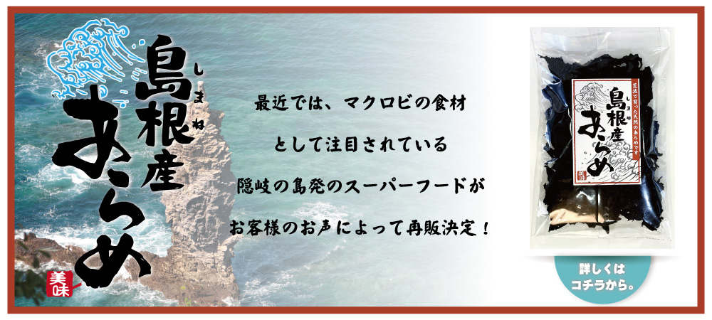 天然岩のり ２枚入り 島根県出雲市産 岩のり通販は岩のり工房